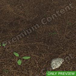 PBR Substance Material of Ground Forest #2